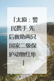 太原：警民携手 先后救助两只国家二级保护动物红隼