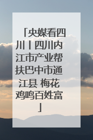 央媒看四川丨四川内江市产业帮扶巴中市通江县 梅花鸡鸣百姓富