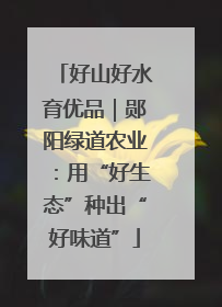 好山好水育优品｜郧阳绿道农业：用“好生态”种出“好味道”