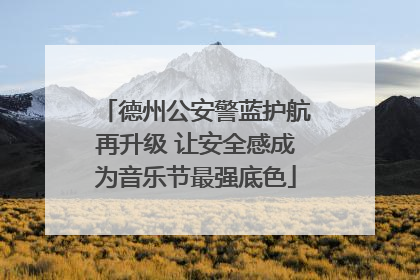 德州公安警蓝护航再升级 让安全感成为音乐节最强底色