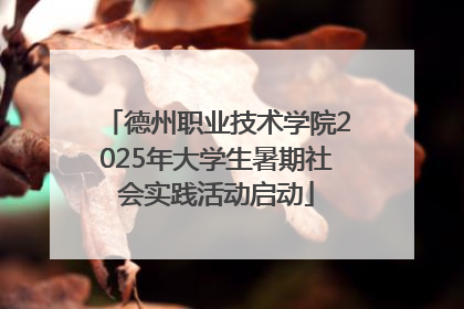 德州职业技术学院2025年大学生暑期社会实践活动启动