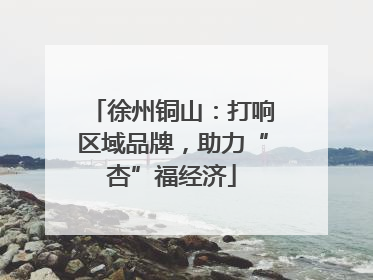 徐州铜山：打响区域品牌，助力“杏”福经济