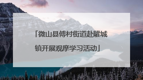 微山县傅村街道赴驩城镇开展观摩学习活动