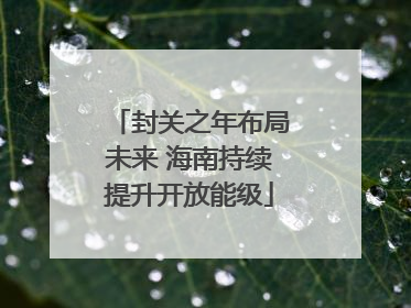 封关之年布局未来 海南持续提升开放能级