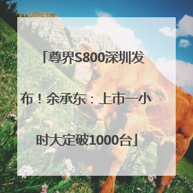 尊界S800深圳发布！余承东：上市一小时大定破1000台