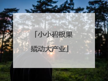 小小碧根果撬动大产业