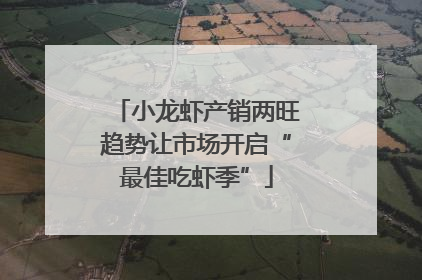 小龙虾产销两旺趋势让市场开启“最佳吃虾季”