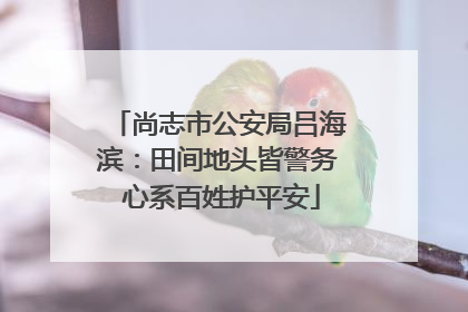 尚志市公安局吕海滨：田间地头皆警务 心系百姓护平安