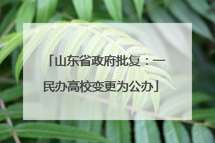 山东省政府批复：一民办高校变更为公办