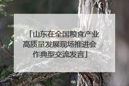 山东在全国粮食产业高质量发展现场推进会作典型交流发言