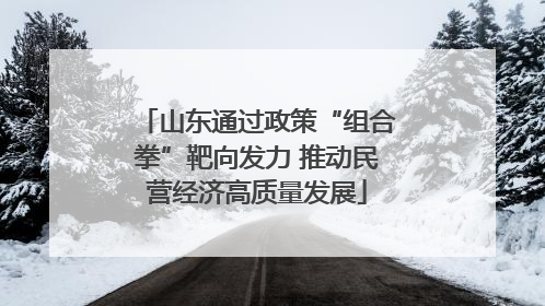 山东通过政策“组合拳”靶向发力 推动民营经济高质量发展
