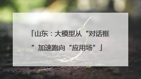 山东：大模型从“对话框”加速跑向“应用场”