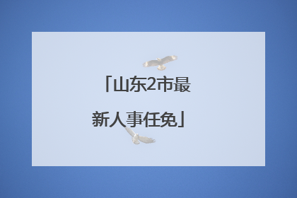 山东2市最新人事任免