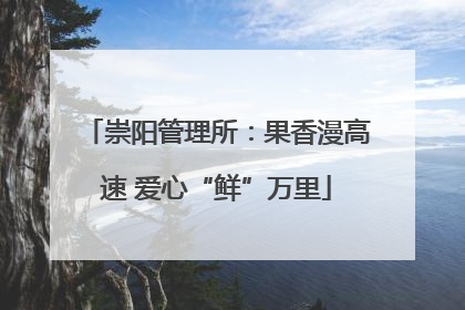 崇阳管理所：果香漫高速 爱心“鲜”万里