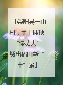 崇阳县三山村：手工插秧“慢功夫” 绣出稻田新“丰”景