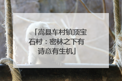 嵩县车村镇顶宝石村：密林之下有诗意有生机