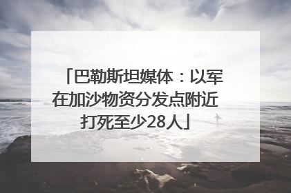 巴勒斯坦媒体：以军在加沙物资分发点附近打死至少28人
