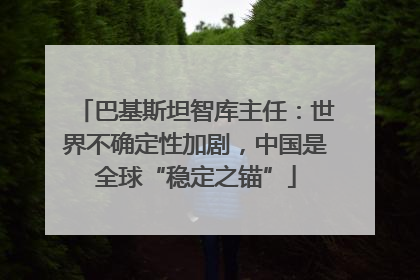 巴基斯坦智库主任：世界不确定性加剧，中国是全球“稳定之锚”