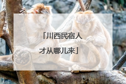 川西民宿人才从哪儿来