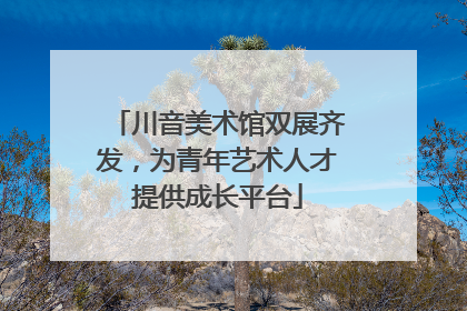 川音美术馆双展齐发，为青年艺术人才提供成长平台