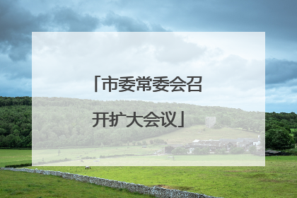 市委常委会召开扩大会议