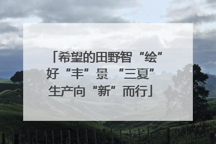 希望的田野智“绘”好“丰”景 “三夏”生产向“新”而行
