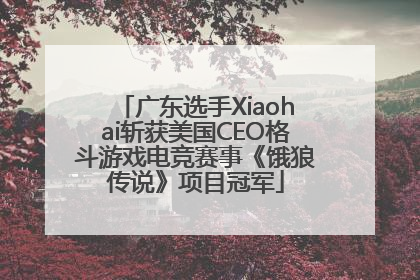 广东选手Xiaohai斩获美国CEO格斗游戏电竞赛事《饿狼传说》项目冠军