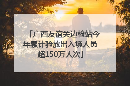 广西友谊关边检站今年累计验放出入境人员超150万人次