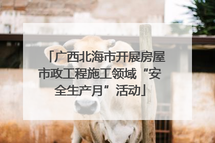 广西北海市开展房屋市政工程施工领域“安全生产月”活动