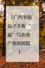 广西平南茄子丰收“蔬”写农业产业新图景