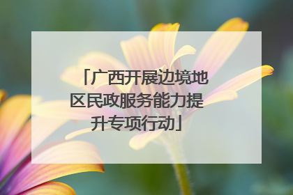 广西开展边境地区民政服务能力提升专项行动