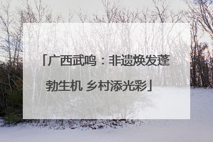 广西武鸣：非遗焕发蓬勃生机 乡村添光彩