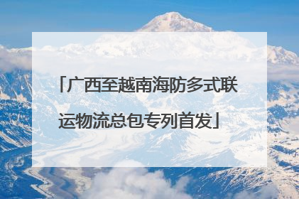 广西至越南海防多式联运物流总包专列首发