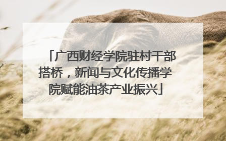 广西财经学院驻村干部搭桥，新闻与文化传播学院赋能油茶产业振兴