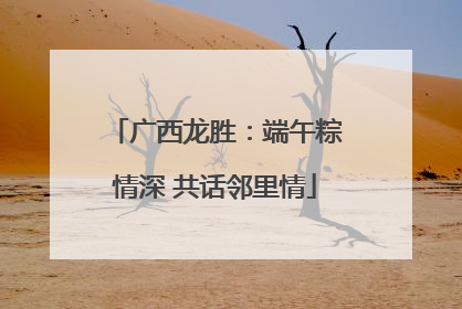广西龙胜：端午粽情深 共话邻里情
