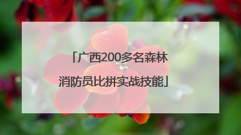 广西200多名森林消防员比拼实战技能