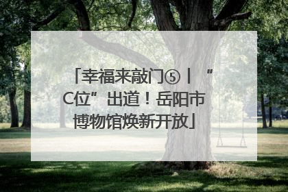 幸福来敲门⑤丨“C位”出道！岳阳市博物馆焕新开放