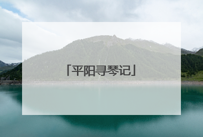 平阳寻琴记