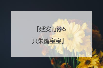 延安再添5只朱鹮宝宝