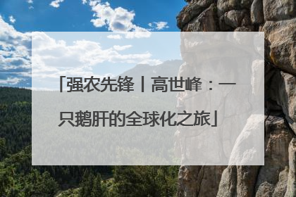 强农先锋丨高世峰：一只鹅肝的全球化之旅