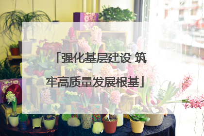 强化基层建设 筑牢高质量发展根基