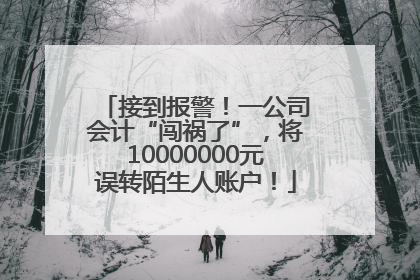 接到报警！一公司会计“闯祸了”，将10000000元误转陌生人账户！