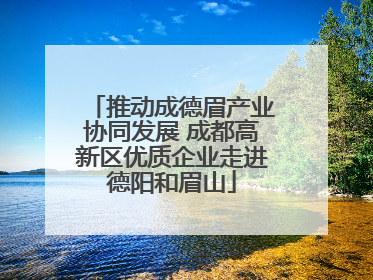 推动成德眉产业协同发展 成都高新区优质企业走进德阳和眉山