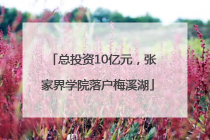 总投资10亿元，张家界学院落户梅溪湖