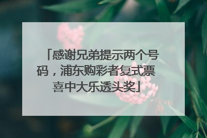 感谢兄弟提示两个号码，浦东购彩者复式票喜中大乐透头奖