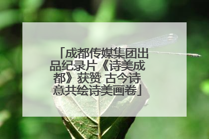 成都传媒集团出品纪录片《诗美成都》获赞 古今诗意共绘诗美画卷