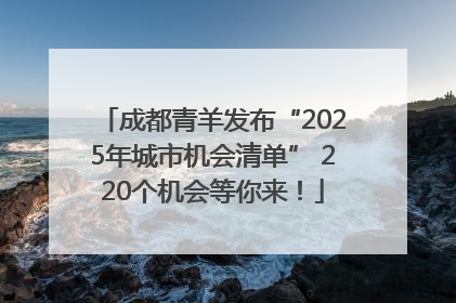 成都青羊发布“2025年城市机会清单” 220个机会等你来！