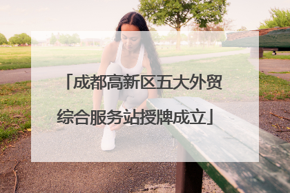成都高新区五大外贸综合服务站授牌成立