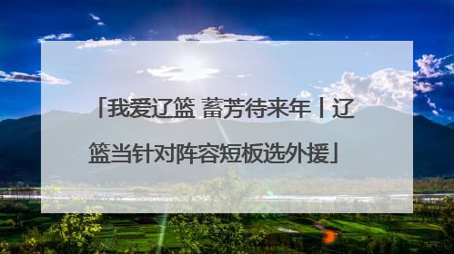 我爱辽篮 蓄芳待来年丨辽篮当针对阵容短板选外援