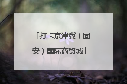 打卡京津冀（固安）国际商贸城